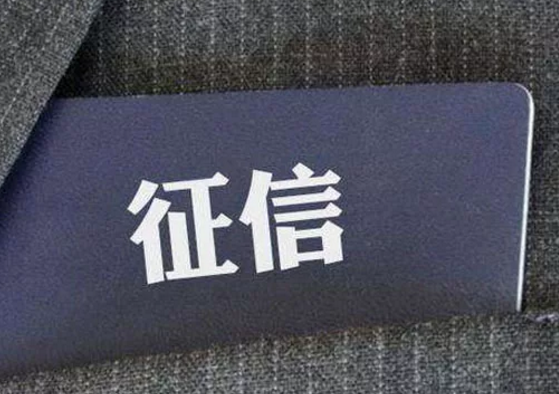 樸道征信：累計線上調(diào)用逾45億次，日調(diào)用峰值達3500萬次
